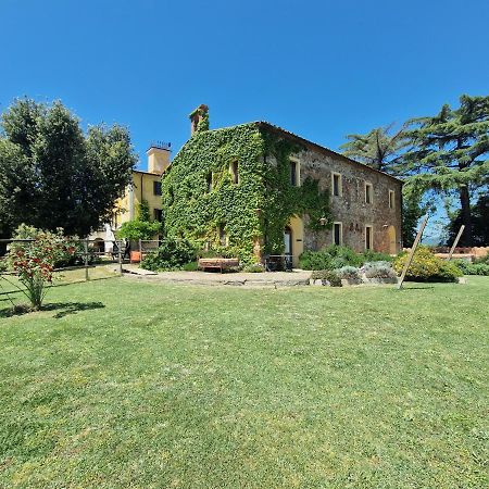 Agriturismo Bio Fattoria Di Pietra Giuncarico ภายนอก รูปภาพ