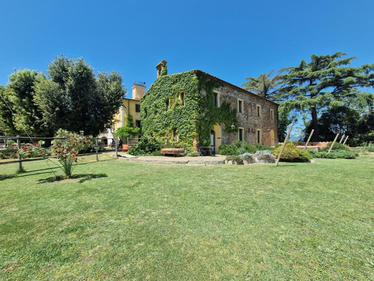 Agriturismo Bio Fattoria Di Pietra Giuncarico ภายนอก รูปภาพ