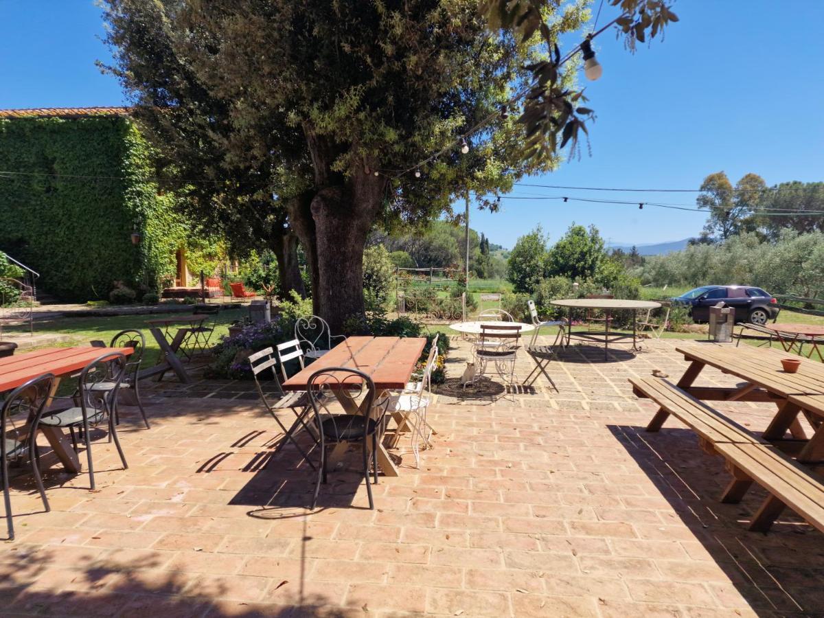 Agriturismo Bio Fattoria Di Pietra Giuncarico ภายนอก รูปภาพ