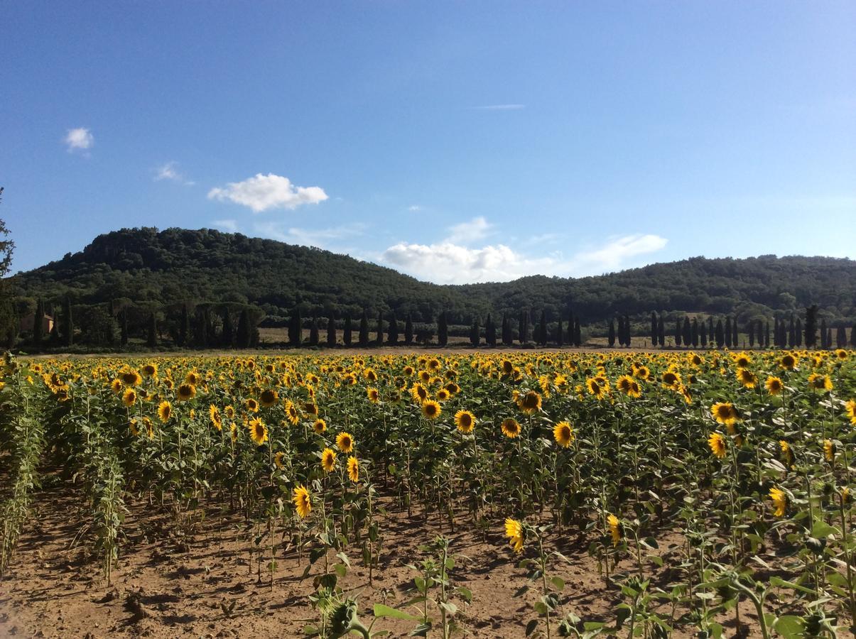 Agriturismo Bio Fattoria Di Pietra Giuncarico ภายนอก รูปภาพ